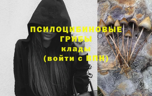 кристаллы Вяземский