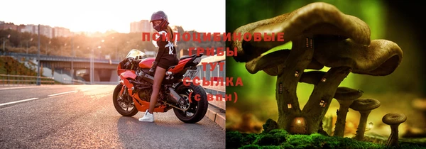 скорость mdpv Вязьма